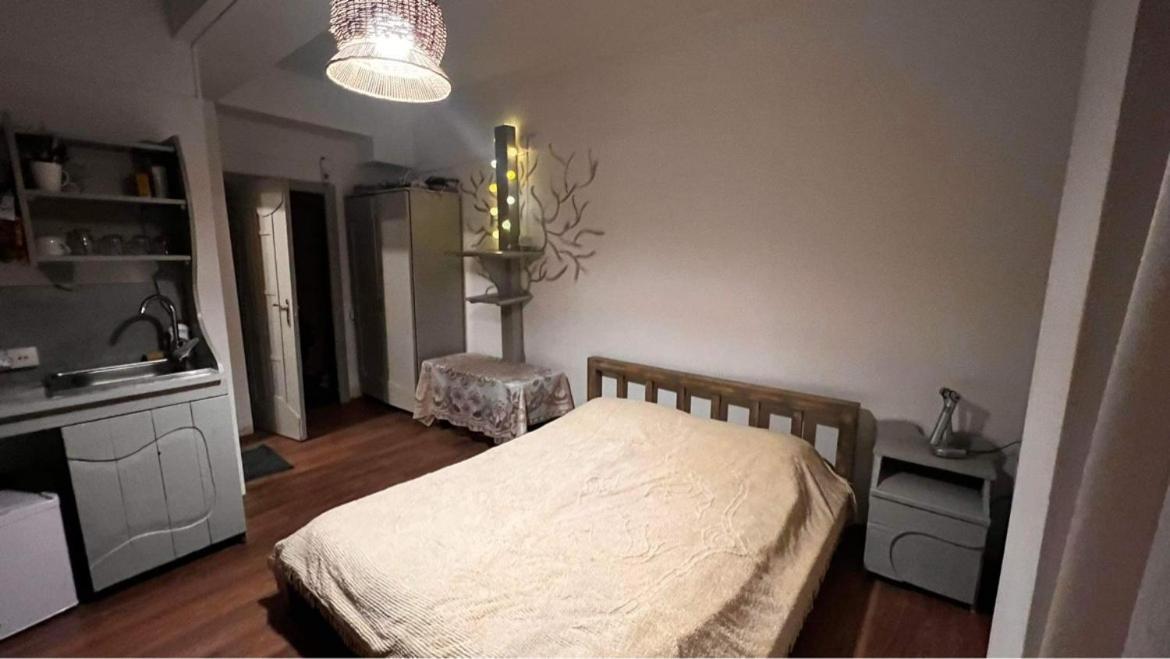 Hotel Mgzavrebi Bakuriani Esterno foto